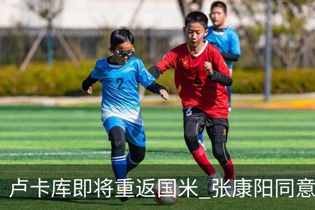 卢卡库即将重返国米 张康阳同意800万镑租借方案