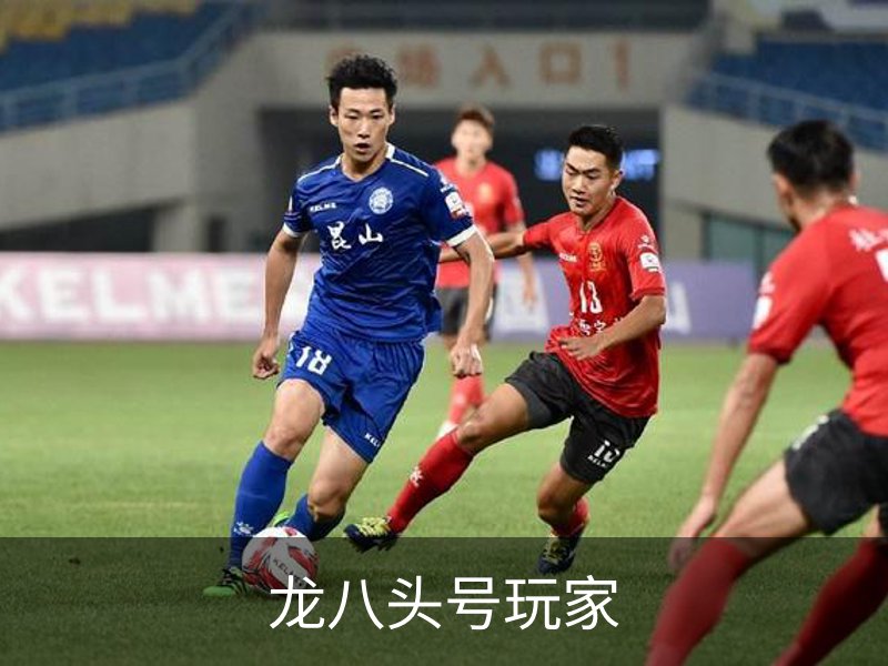 龙八头号玩家品牌故事